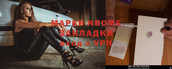 хмурый Нея