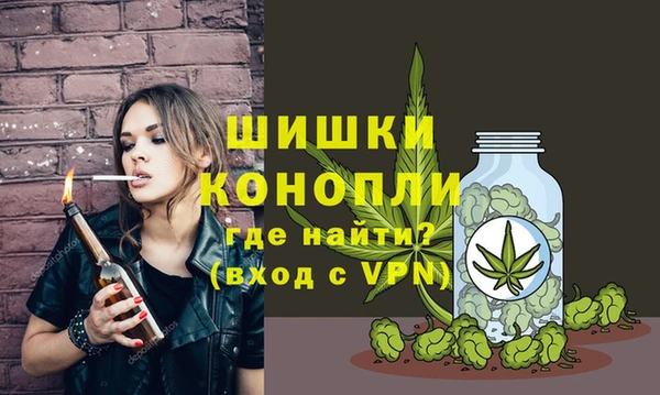 хмурый Нея