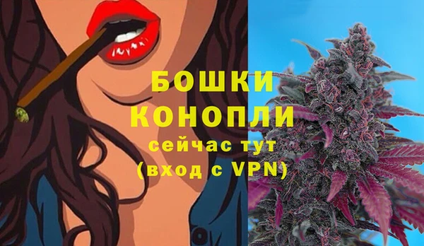 хмурый Нея
