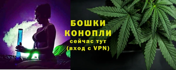хмурый Нея