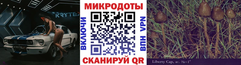 Купить закладки  Щигры  Галлюциногенные грибы Magic Shrooms 